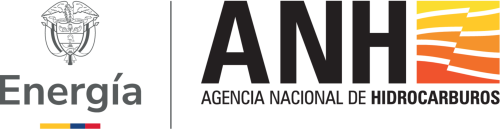ANH Logo
